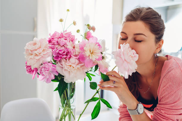 Womens day. Woman smelling bouquet of peonies. Housewife enjoying flower fragrance without allergy. Gift from husband stock photo