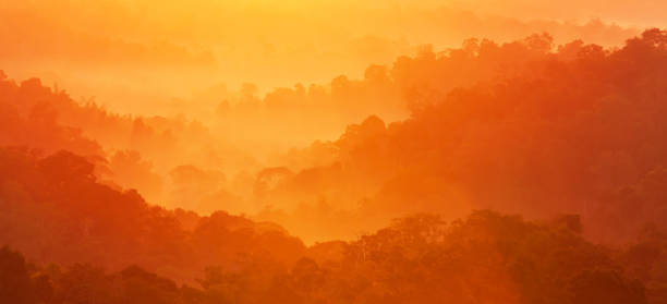 Wonderful autumn mountain in the morning mist. stock photo