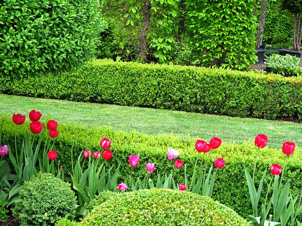 Wonderful garden in springtime stock photo