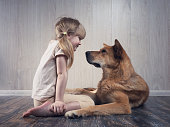 A wonderful little girl and a huge dog communicate with each other. The dog is terrible, but kind. An animal loves a child.