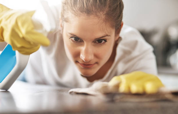I won't leave a spot behind Cropped shot of a young woman cleaning her home cleaner photos stock pictures, royalty-free photos & images