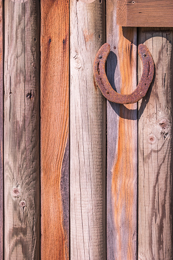 Rustic weathered barn wood background with knots, nail holes and horseshoe