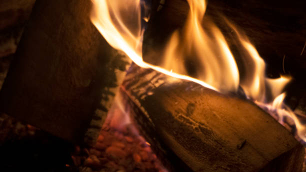 Wood Burning on the Bonfire stock photo