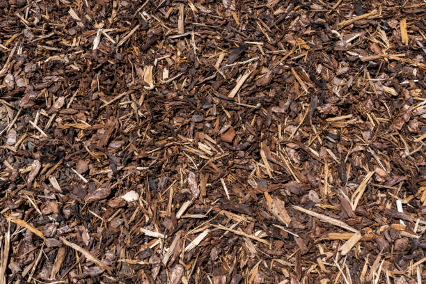 Wood chip bark chippings stock photo