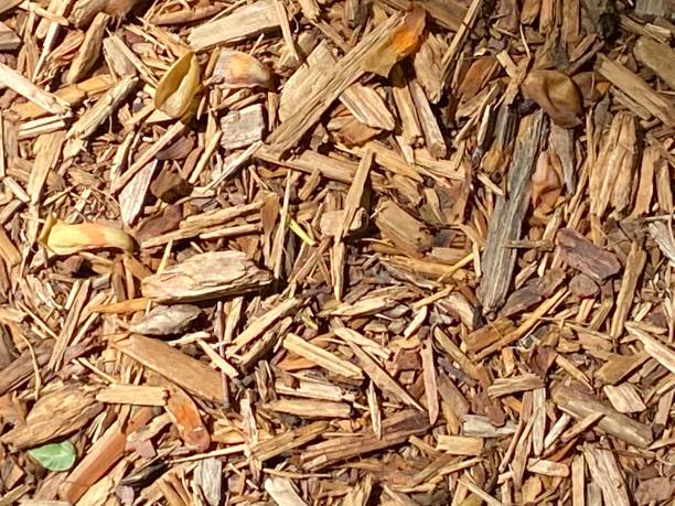 Wood Chip Ground Cover stock photo