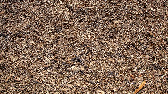 Close-up texture of a heap of wood chips from shredded trees