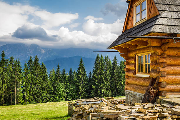 Wood cottage with a beautiful forest and mountain views Rural cottage in the mountains. log cabin stock pictures, royalty-free photos & images