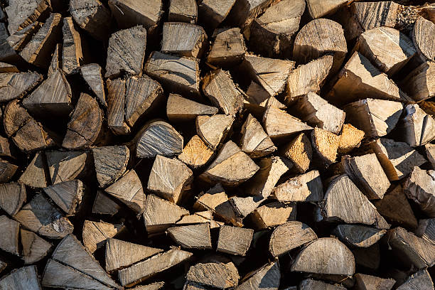 Wood Logs stock photo