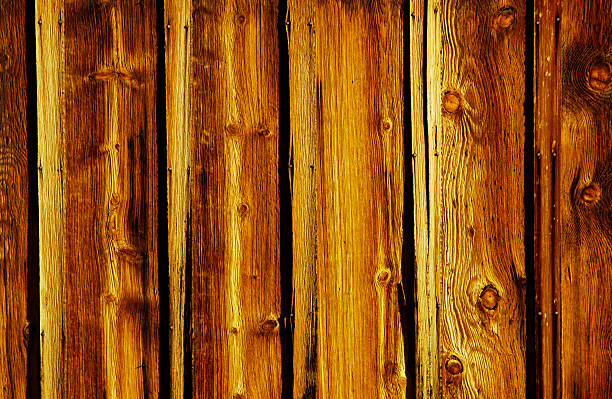 Wood Pattern stock photo