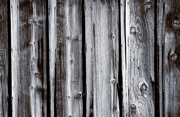 Wood Pattern stock photo