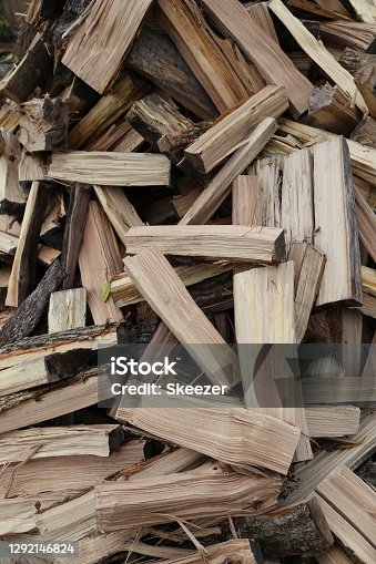 istock Wood Pile 1292146824