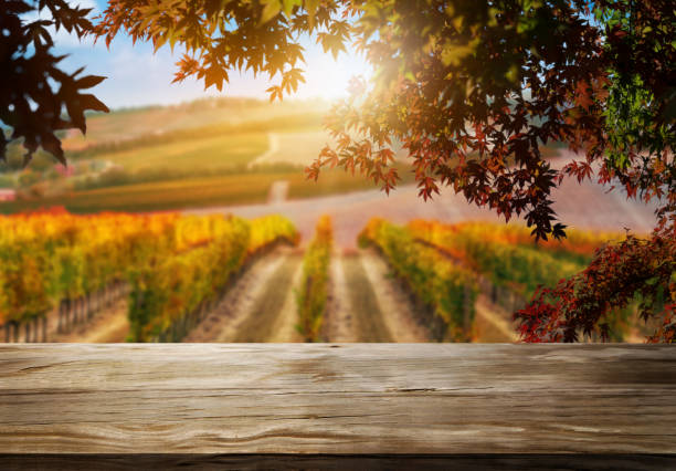 Wood table in autumn vineyard country landscape. Brown wood table in autumn vineyard landscape with empty copy space on the table for product display mockup. Winery and wine tasting concept. vineyard stock pictures, royalty-free photos & images
