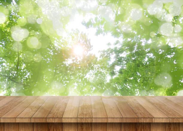 Wood table perspective with green leaf stock photo