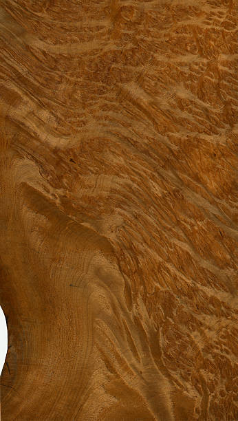 Wood Texture (Vavone burl) stock photo