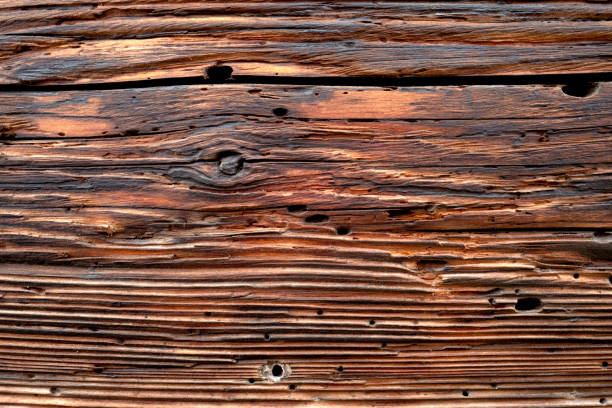 Wood Beam Texture Stock Photos Pictures Royalty Free Wood Beam Texture Stock Photos Pictures Royalty Free