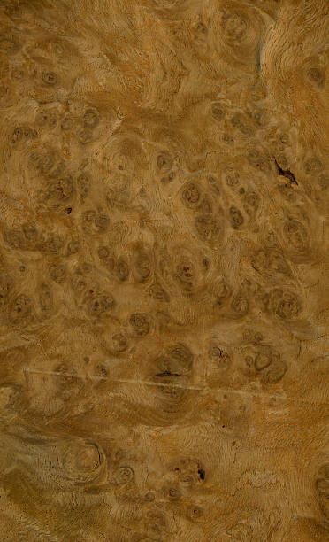 Wood Texture (Oak burl) XL stock photo