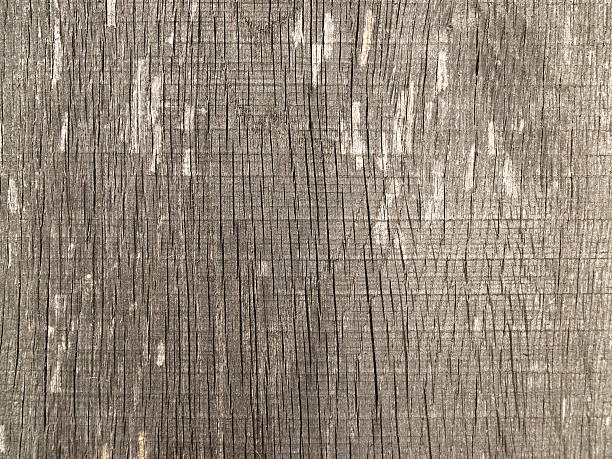 Wood texture&#xA stock photo