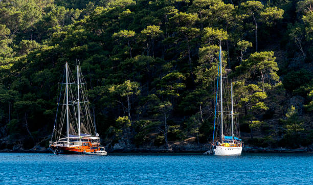 wooden and fiber sailing boat moored on the coastline - yacht huren stockfoto's en -beelden