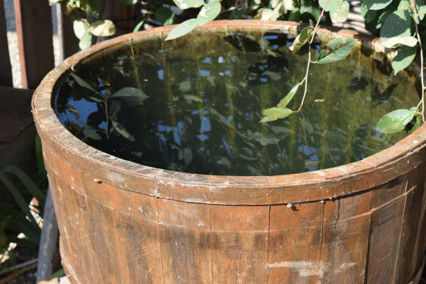 Decorative Rain Barrels Stock Photos Pictures Royalty Free