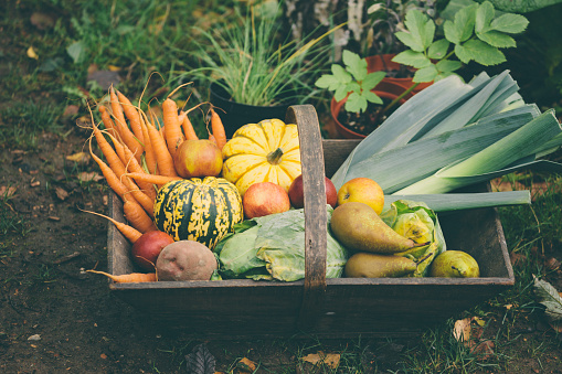 Wooden basket full of fresh, organic vegetables.