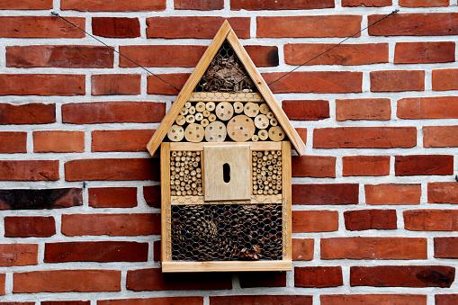 Wooden Bee House hanging on a brick wall - rural scene