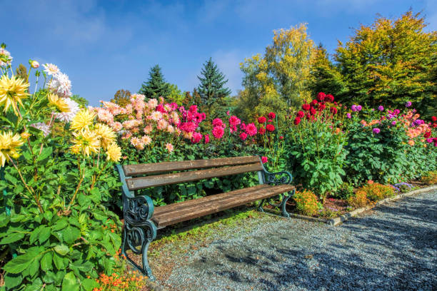 Pics For Beautiful Garden Benches Stock Photos Pictures Royalty