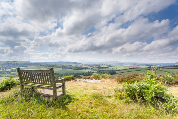 Wooden bench viewpoint in the sunshine in summer A wooden bench with no people in the sunshine on a bright summers day at a viewpoint overlooking a valley of green fields, trees and hills on the edge of Alnwick Moors in Central Northumberland, England. northumberland stock pictures, royalty-free photos & images