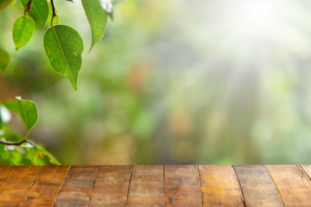ぼやけた自然な背景の前に木製のボード空のテーブル。製品の表示のための自然なぼかしの上に視点古い木材 - wood table ストックフォトと画像