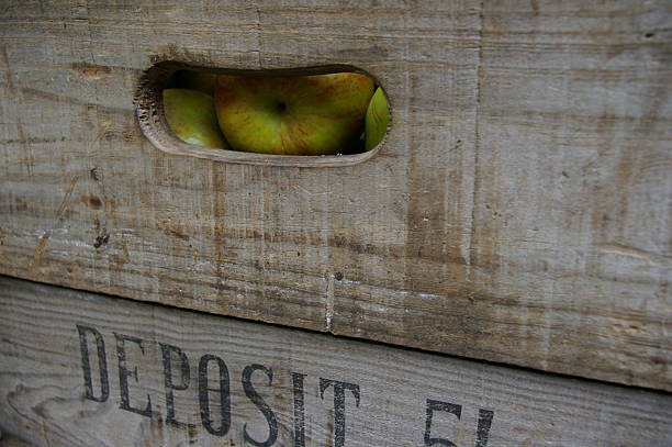 Wooden Box of Apples stock photo