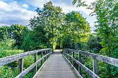 istock Wooden bridge in the park 1359189158