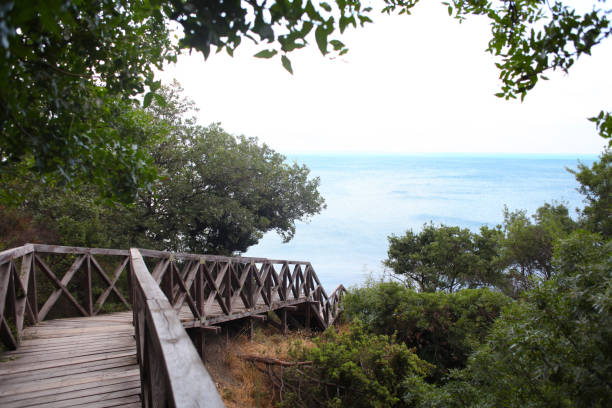 деревянный мост дороги в тропическом лесу пейзаж море - digne стоковые фото и изображения
