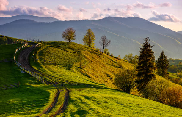 wooden fence along the path in mountains Spring time rural landscape. Wooden fence along the path through agricultural fields in Carpathian mountains carpathian mountain range stock pictures, royalty-free photos & images