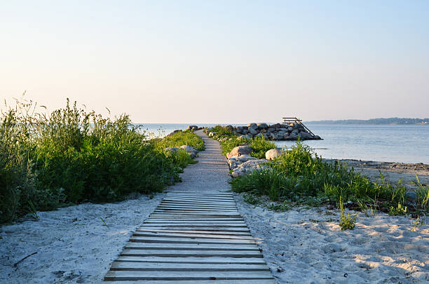 wooden footpath at the beach - sweden stok fotoğraflar ve resimler