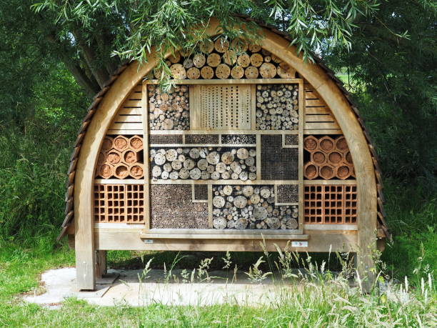 houten insectenhotel in de tuin in bayeux, frankrijk - mierenhotels  stockfoto's en -beelden