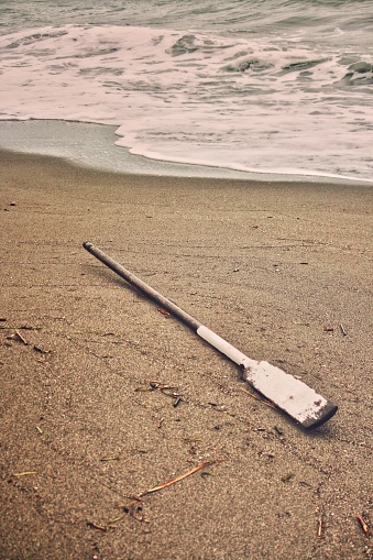 Lost Wooden paddle lying on sandy beach by the sea Ada Bojana Ulcinj Montenegro