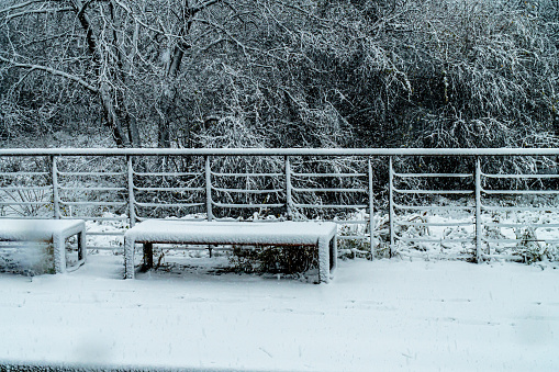 Photo of a Wooden Bench Covered with Snow in a Park.
