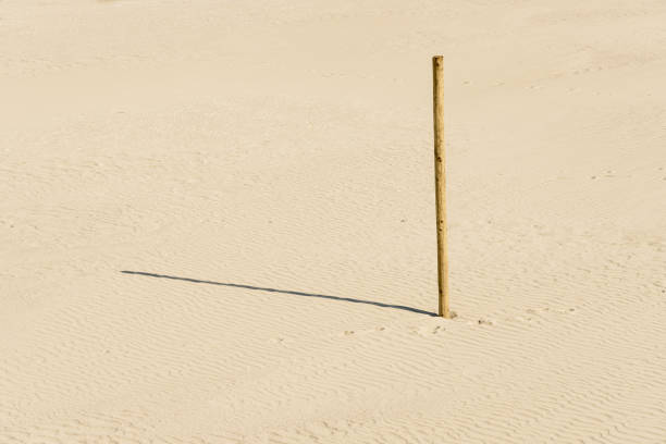 Wooden pole on the beach with copy space stock photo