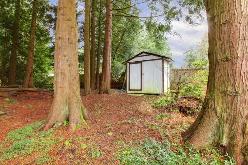 Wooden Small Backyard Shed Stock Photo Download Image Now Istock