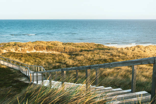 Photo of Wooden stairs through dunes and grass on Sylt island toward sea