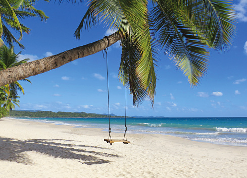 Wooden swing on palm tree on tropical golden sand beach. Caribbean landscape. Swing hangs under coconut tree in beautiful tropical French West Indies beach.