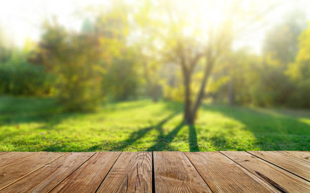 mesa de madera y fondo de bosque primaveral - backyard fotografías e imágenes de stock