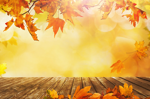 istock Mesa de madera con hojas de naranja fondo de otoño 1168605602