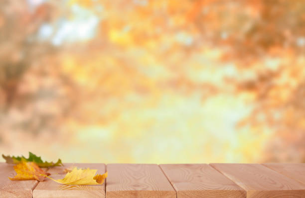 自然の中の木製の卓上は背景をぼかした - 秋 ストックフォトと画像