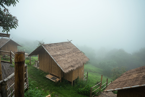 Wooden thatched hut resort in foggy on hill in tropical rainforest at morning
