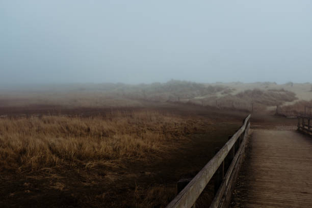 wooden walkway heading into the mist at Walberswick stock photo