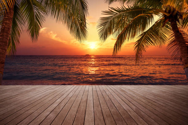 Wooden walkway on the sunset beach stock photo
