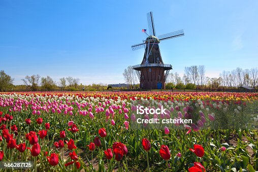 istock Wooden Windmill in Holland Michigan 466287126