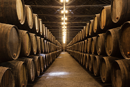 Wooden wine barrels stacked in neat lines in a port
