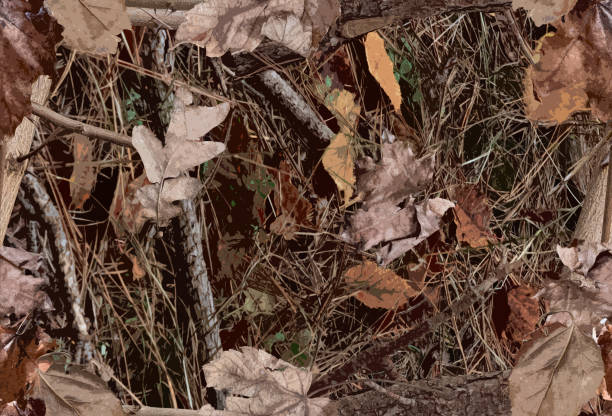 狩猟目的のためのウッドランド迷彩パターン - wood texture ストックフォトと画像