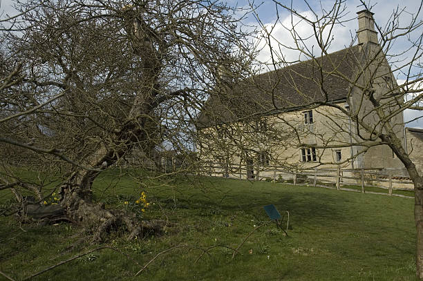 Woolsthorpe Manor and the apple tree The birthplace of Isaac Newton, Woolsthorpe Manor and the famous apple tree isaac newton picture stock pictures, royalty-free photos & images